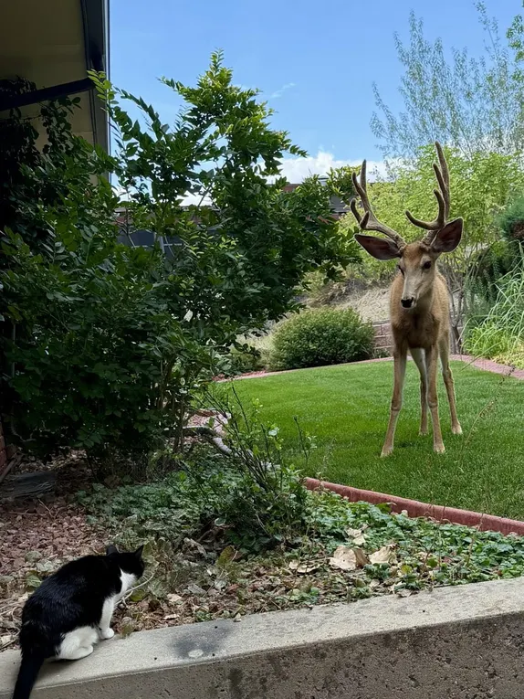 What's Happening in Golden - Thursday, Aug. 27th, 2026