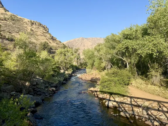 Morning on the Creek