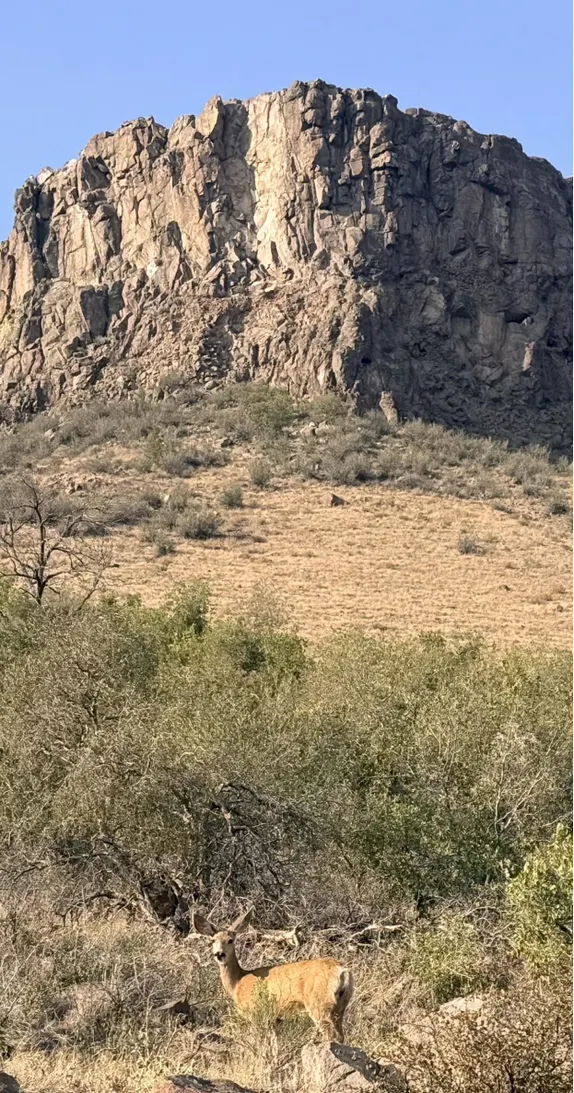 Stillness on South Table Mountain