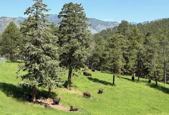 Tomorrow: National Public Lands Volunteer Event