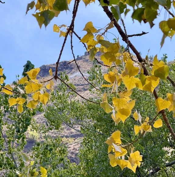 Early Fall View of the M