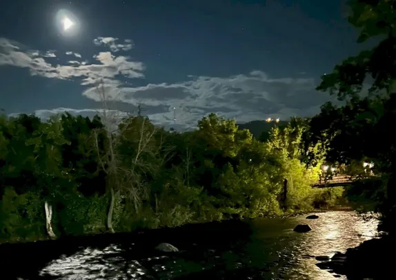Evening Walk Along the Creek