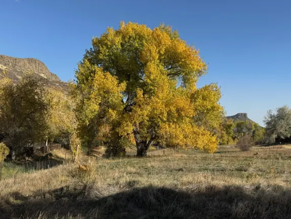 Autumn Equinox