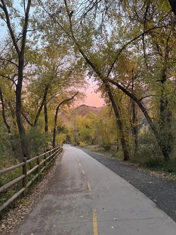 Fall Morning on the Creek