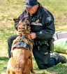Dogs of Law Enforcement