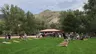 Join Summer Cornhole!
