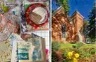 10AM-12:30PM Collage Collective @ Foothills Art Center - Creative Campus
