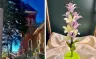 1-3:30PM Paper Flower Sculpture: Therapeutic Art Workshop @ Foothills Art Center - Creative Campus