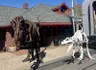 Tickets Now On Sale for Next Weekend's Dinosaur Express