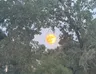 Full Moon Tonight