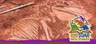 1-2PM Fossil Adventures with Dinosaur Ridge @ Golden Library