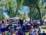 10AM-8PM Fourth of July Festival @ Lions Park