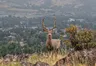 Summary of August Events