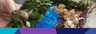5-6PM Design a Miniature Landscape @ Golden Library