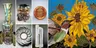 5-7PM Member Reception | Structure, CarolAnn Wachter, and Sue Rose @ Foothills Art Center - Astor House