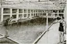 Golden's First Public Pool