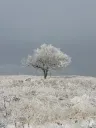 6-8PM Back to Basics: Cold Weather Hiking @ Jeffco Open Space