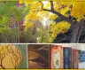 10AM-2PM Color Confidence for Painters @ FAC Creative Campus