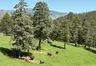 Tomorrow: National Public Lands Volunteer Event
