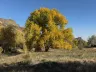 Autumn Equinox