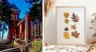 2-4PM Fall Leaf Nature Art @ Foothills Art Center - Creative Campus
