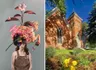 10AM-12:30PM Collage Collective @ Foothills Art Center - Creative Campus