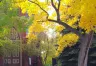 5:30-7:30PM - The Fundamental Principles of Art