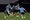 FC Dallas Preseason Camp: Who is here, who is missing