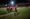 What we learned in FC Dallas' 3-1 win over Seattle