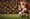 Christmas wishlist for FC Dallas