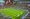 World Cup Match Notes: Netherlands–Japan at Dallas Stadium