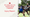 FC Dallas Injury Report vs. Portland Timbers: Who Is In and Who Is Out?