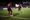 FC Dallas Grinds Past LAFC to Cap Unbeaten September