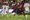 Playoff Watch: What FC Dallas needs from other teams this week