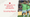 Scouting Seattle Sounders: What FC Dallas Needs to Know 🔎