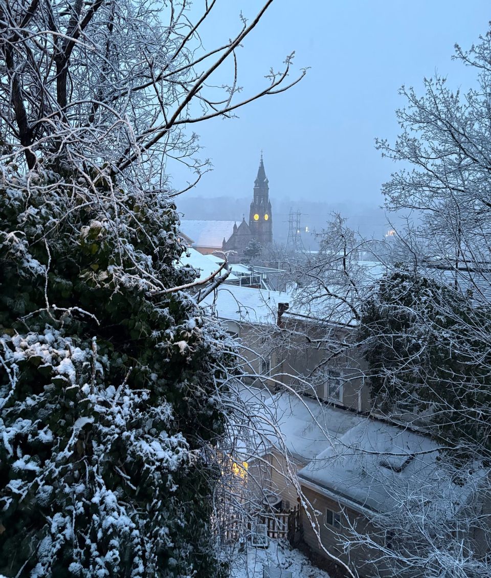 Trees in the foreground and a church steeple with a lighted clock in the background, all covered in snow