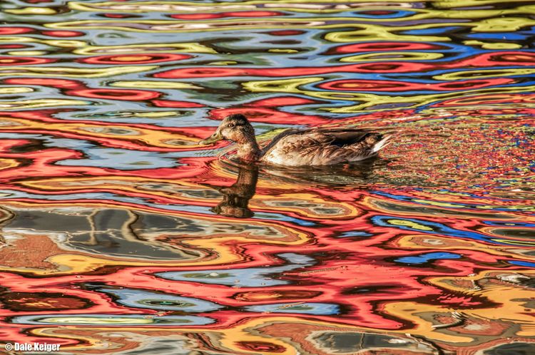 Sometimes you wait for the picture to make itself