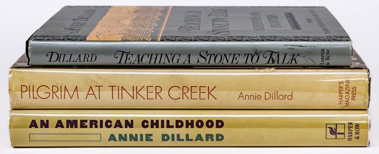 All I remember from reading Annie Dillard