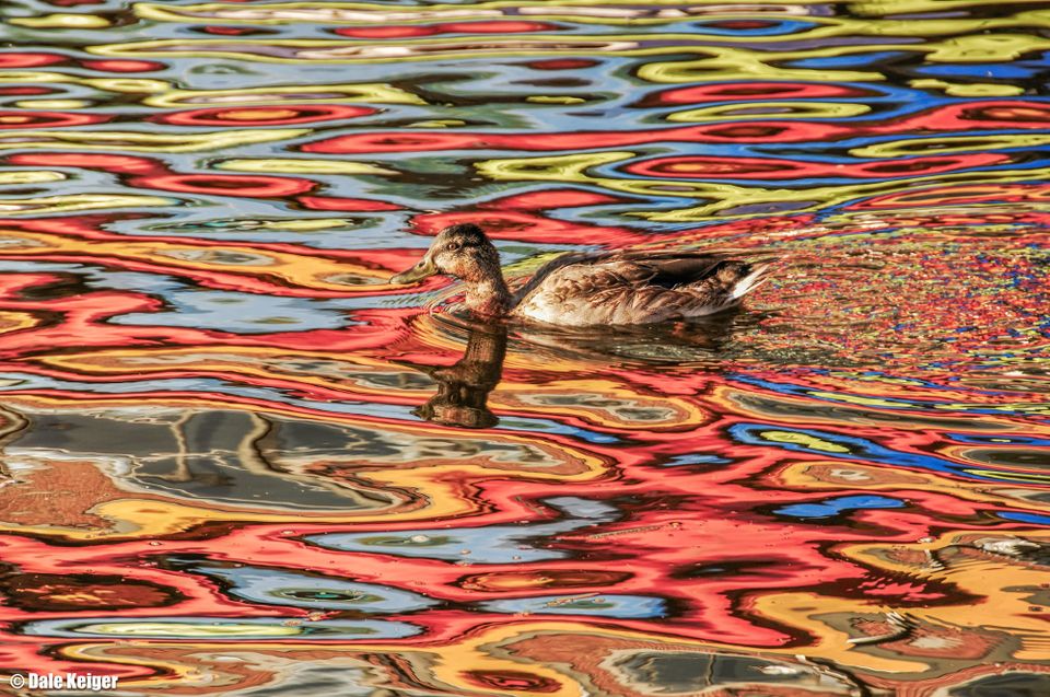 Sometimes you wait for the picture to make itself