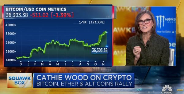 Cathie Wood a CNBC műsorában