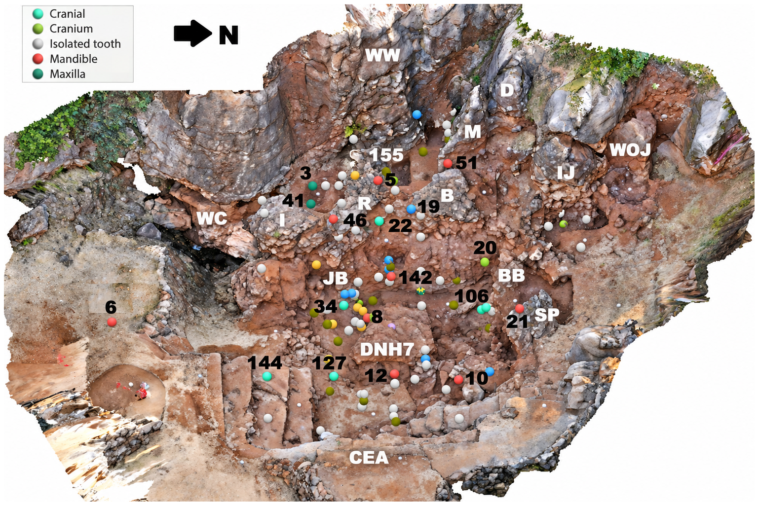Ancient Skull Fragment Adds New Evidence to the Origins of Homo Erectus