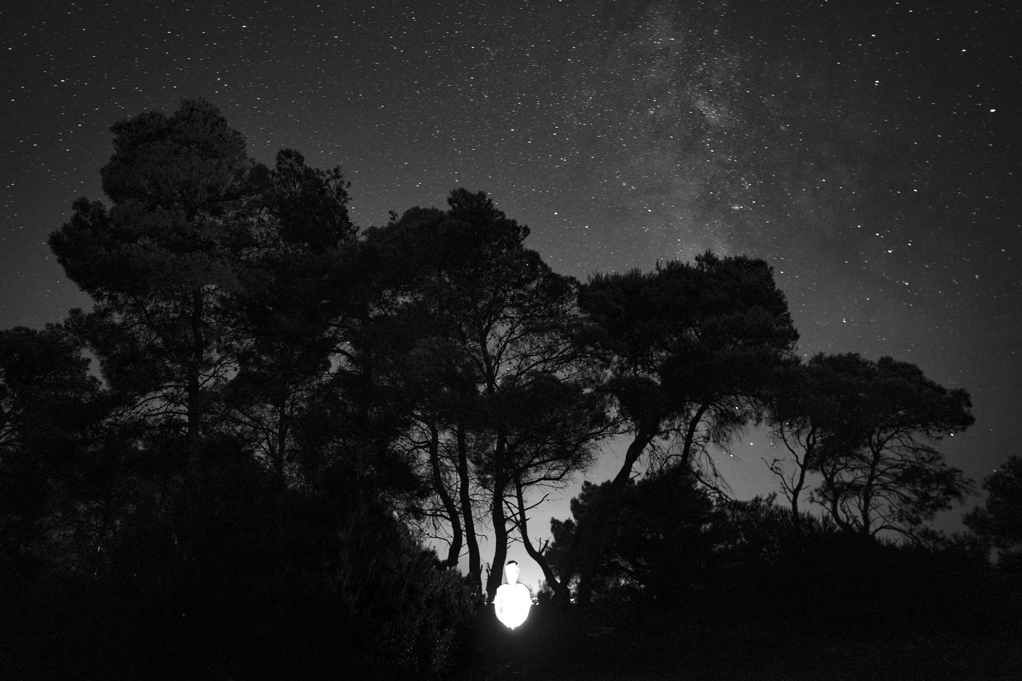 A man glowing among trees beneath stars on a forested hillside