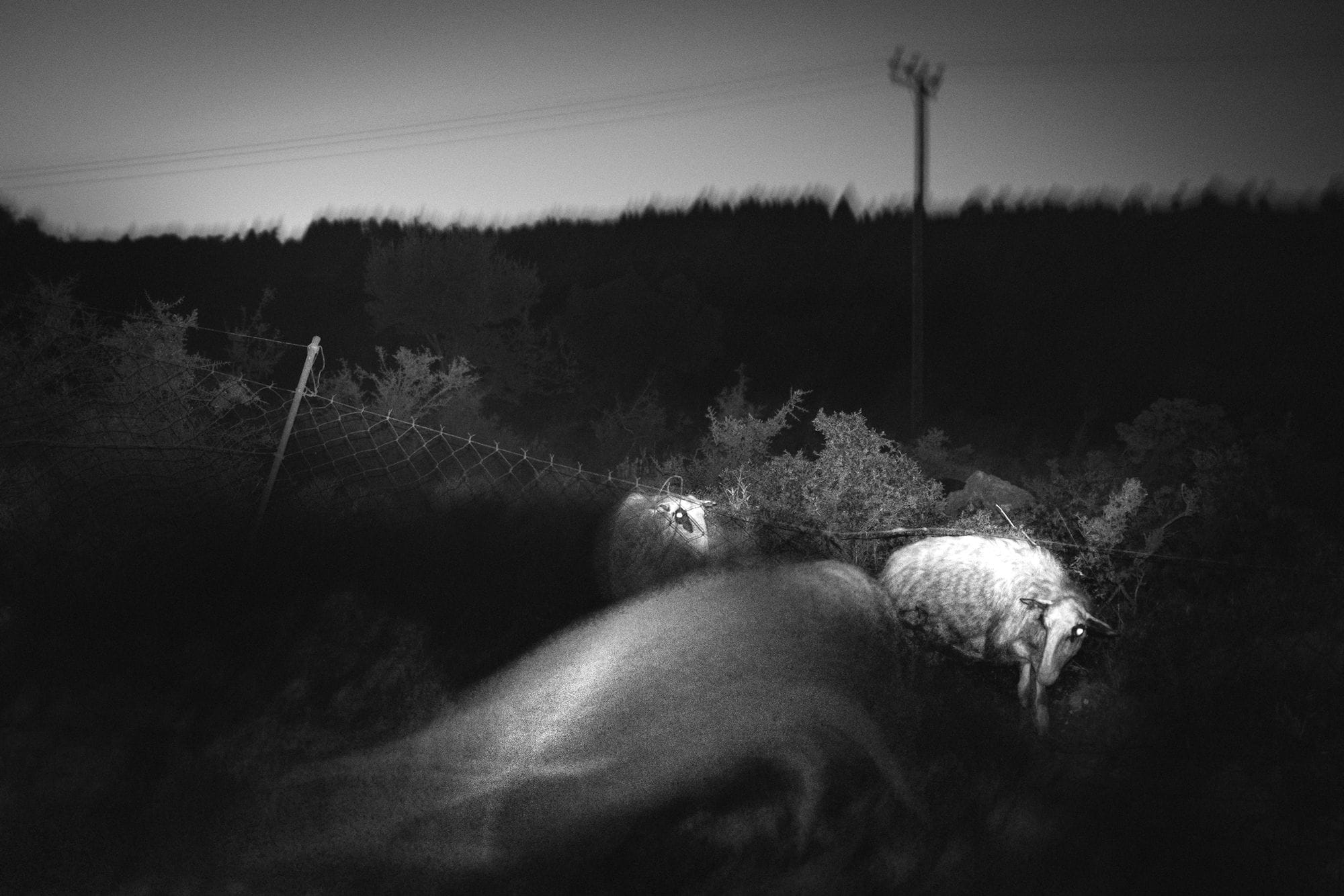 The magic you didn’t know you’d lost