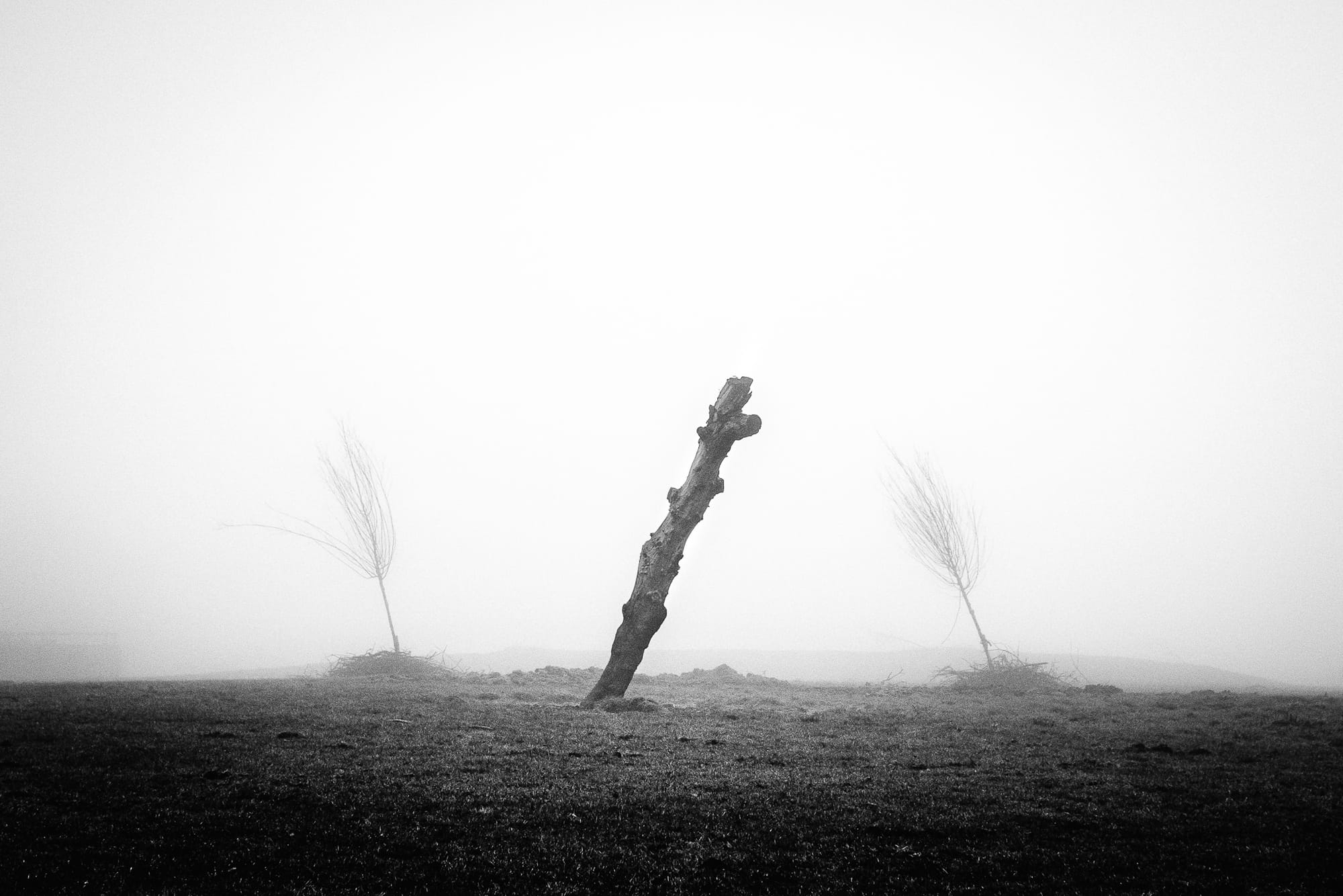 The German playbook for silencing dissent