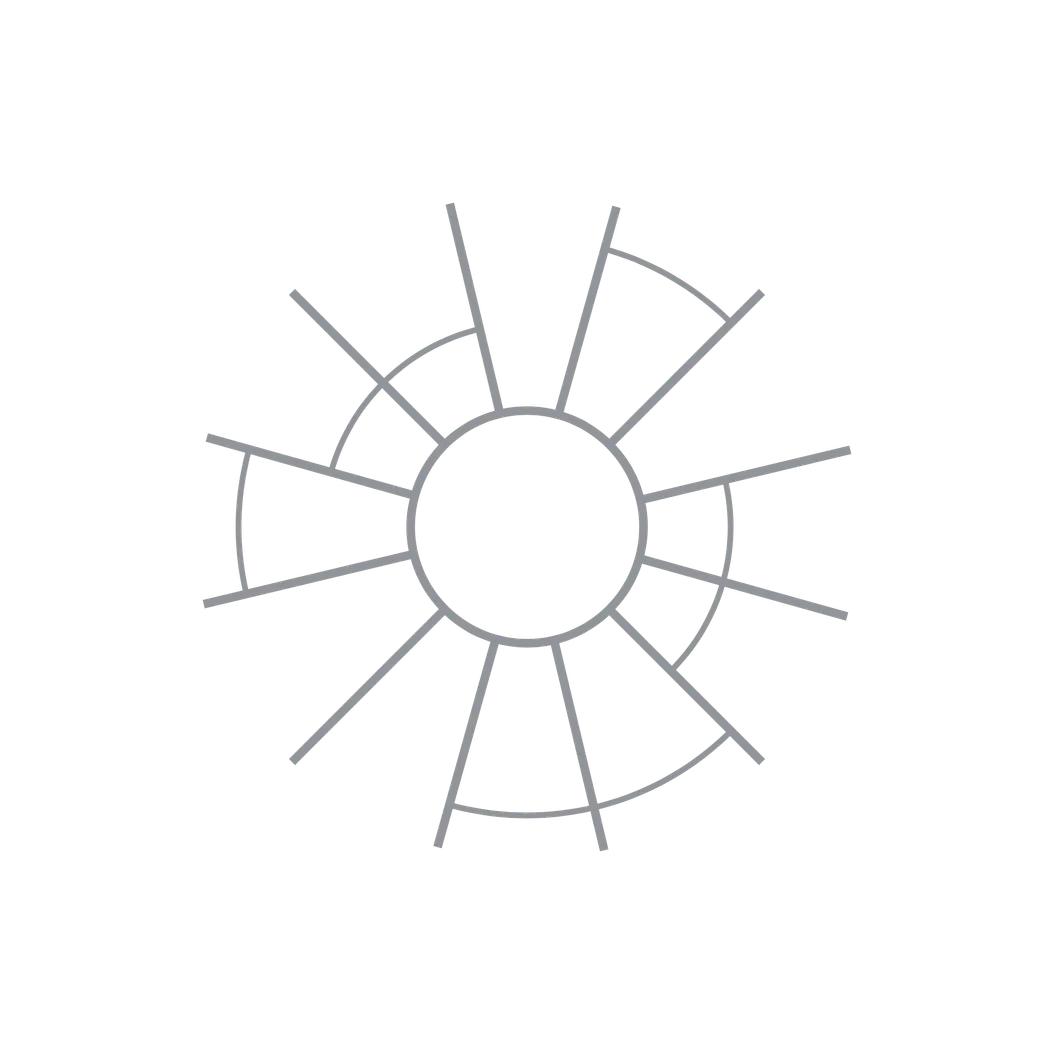 e06: Disruptive protest