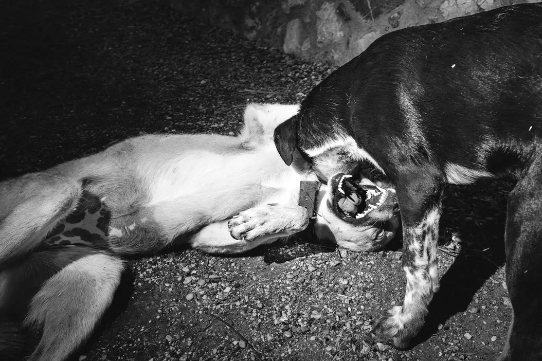 How Harris Outplayed Trump In The Debate