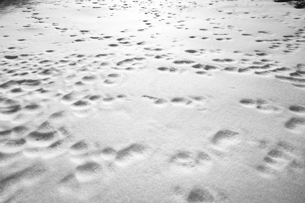 Audiences vanish, movements don’t