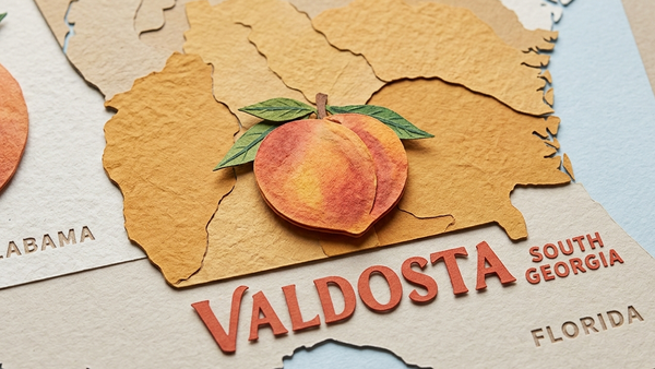 What’s Cooking in the 229: The $24.4M Downtown Valdosta Boom