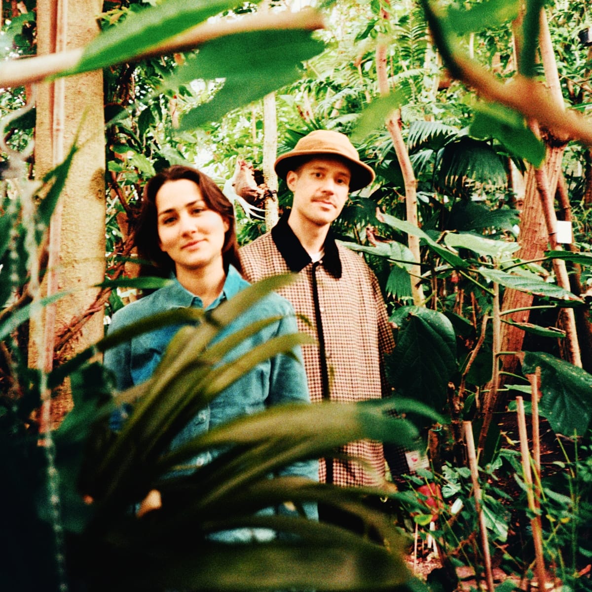 Curió Curió stand among dense tropical foliage in a greenhouse, framed by leaves and slender trunks; one in a denim shirt, the other in a checked jacket and tan hat.
