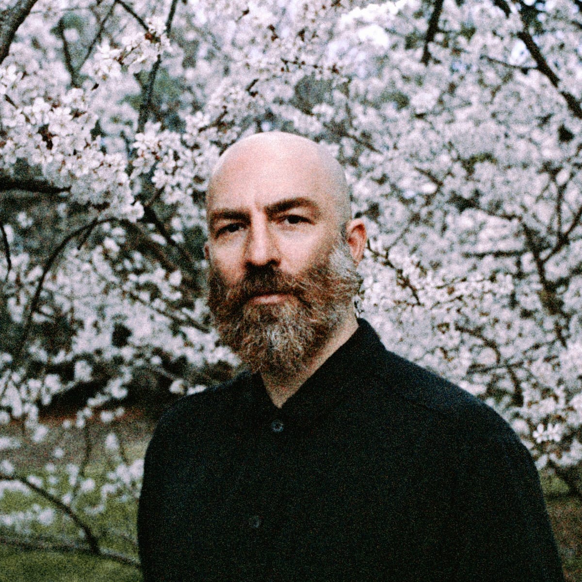 Deniz Cuylan faces the camera in a black shirt, bearded and bald, standing in front of a tree in full white blossom.